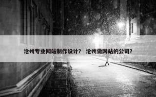 沧州专业网站制作设计？ 沧州做网站的公司？