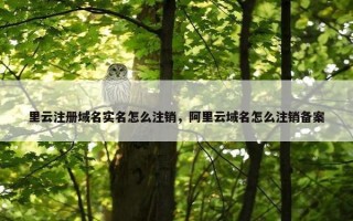里云注册域名实名怎么注销，阿里云域名怎么注销备案