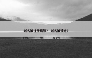 域名被注册局锁？ 域名被锁定？