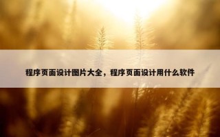 程序页面设计图片大全，程序页面设计用什么软件