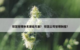 软装管理体系建设方案？ 软装公司管理制度？
