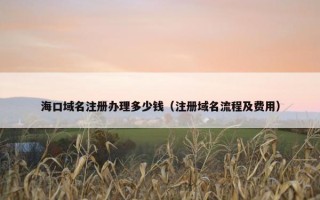 海口域名注册办理多少钱（注册域名流程及费用）