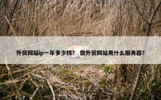 外贸网站ip一年多少钱？ 做外贸网站用什么服务器？