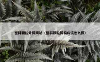塑料颗粒外贸网站（塑料颗粒贸易应该怎么做）