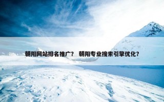 朝阳网站排名推广？ 朝阳专业搜索引擎优化？