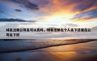 域名注册公司名可以卖吗，域名注册在个人名下还是在公司名下好