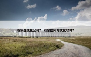 石家庄优化公司？ 石家庄网站优化软件？