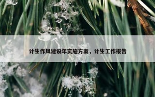 计生作风建设年实施方案，计生工作报告