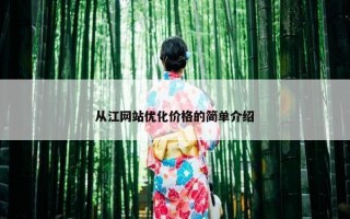 从江网站优化价格的简单介绍