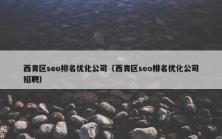 西青区seo排名优化公司（西青区seo排名优化公司招聘）