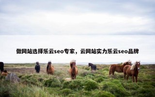 做网站选择乐云seo专家，云网站实力乐云seo品牌