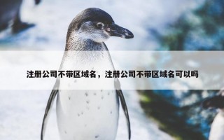 注册公司不带区域名，注册公司不带区域名可以吗