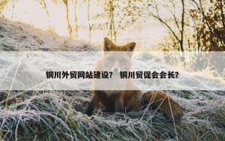 铜川外贸网站建设？ 铜川贸促会会长？