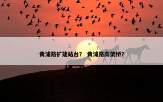 黄浦路扩建站台？ 黄浦路高架桥？