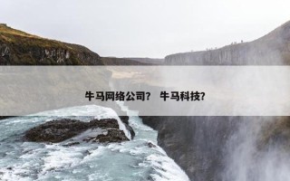 牛马网络公司？ 牛马科技？