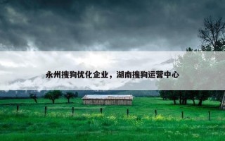 永州搜狗优化企业，湖南搜狗运营中心