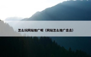 怎么玩网站推广呢（网站怎么推广出去）