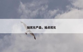 站优化产品，站点优化