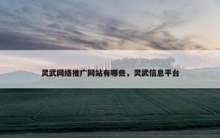 灵武网络推广网站有哪些，灵武信息平台