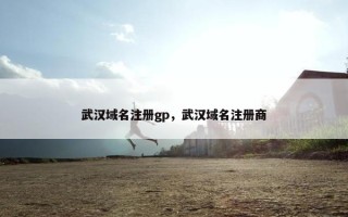 武汉域名注册gp，武汉域名注册商