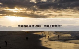 中网通讯网络公司？ 中网互联集团？