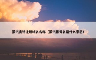 蒸汽密钥注册域名名称（蒸汽帐号名是什么意思）