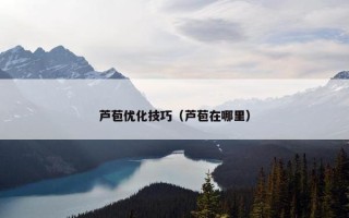 芦苞优化技巧（芦苞在哪里）