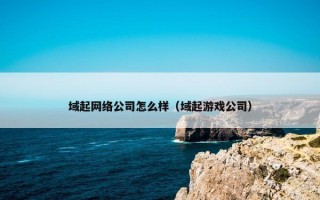 域起网络公司怎么样（域起游戏公司）