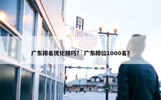 广东排名优化技巧？ 广东排位1000名？