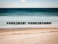 中文域名注册方案？ 中文域名注册方案模板？