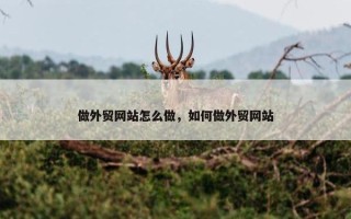 做外贸网站怎么做，如何做外贸网站