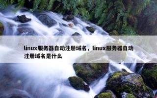 linux服务器自动注册域名，linux服务器自动注册域名是什么