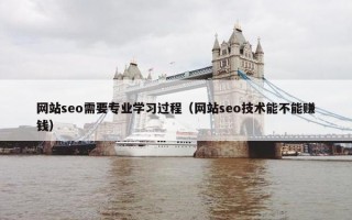 网站seo需要专业学习过程（网站seo技术能不能赚钱）