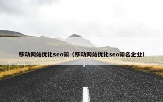 移动网站优化seo知（移动网站优化seo知名企业）