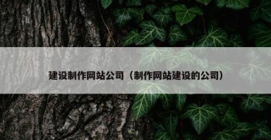 建设制作网站公司（制作网站建设的公司）