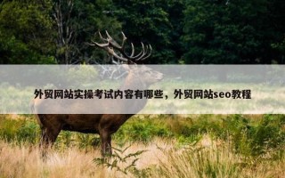 外贸网站实操考试内容有哪些，外贸网站seo教程
