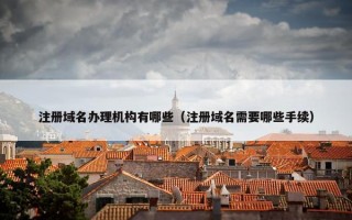 注册域名办理机构有哪些（注册域名需要哪些手续）