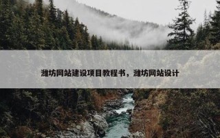 潍坊网站建设项目教程书，潍坊网站设计