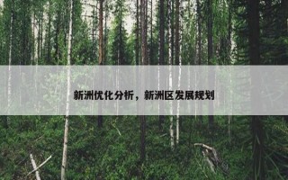 新洲优化分析，新洲区发展规划