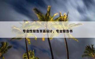 专业性报告页面设计，专业报告书