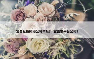 宜昌互通网络公司中标？ 宜昌市平台公司？