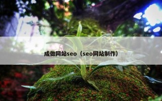 成做网站seo（seo网站制作）