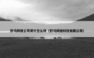 野马网络公司简介怎么样（野马网络科技有限公司）
