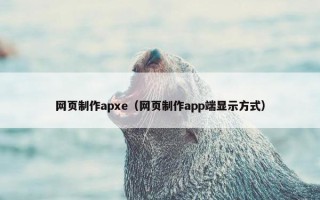 网页制作apxe（网页制作app端显示方式）