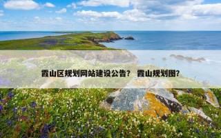 霞山区规划网站建设公告？ 霞山规划图？