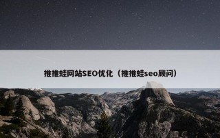 推推蛙网站SEO优化（推推蛙seo顾问）