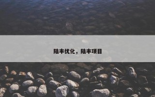陆丰优化，陆丰项目