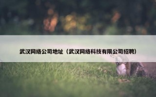 武汉网络公司地址（武汉网络科技有限公司招聘）