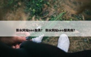 衡水网站seo服务？ 衡水网站seo服务商？