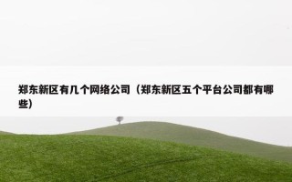 郑东新区有几个网络公司（郑东新区五个平台公司都有哪些）